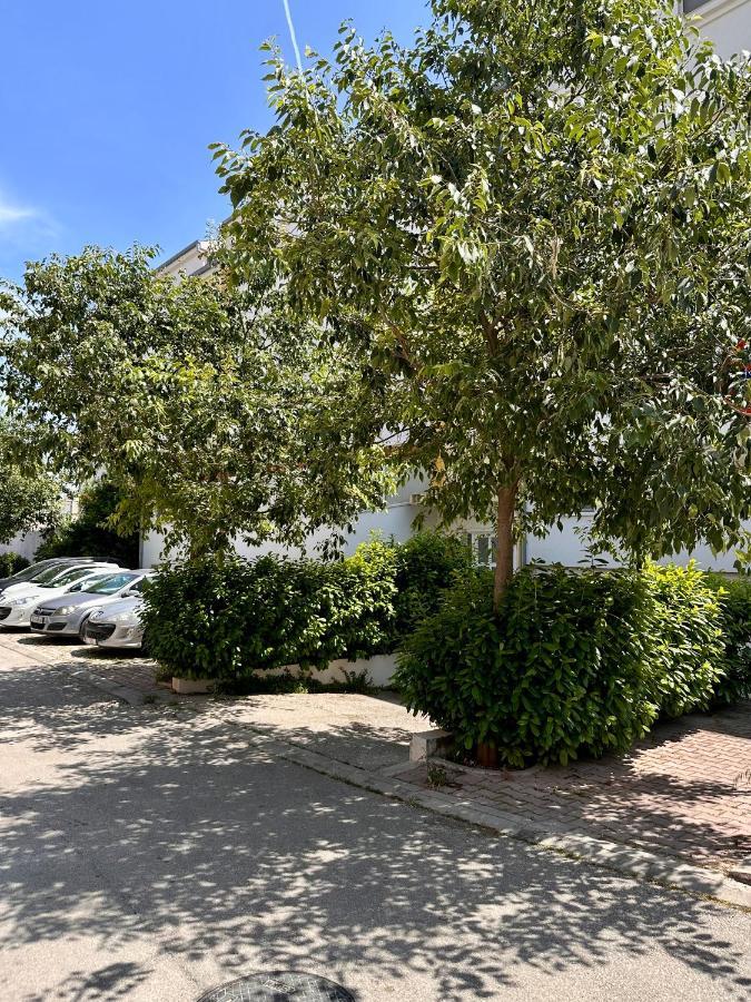 Apartment Tranquilo Split Bagian luar foto